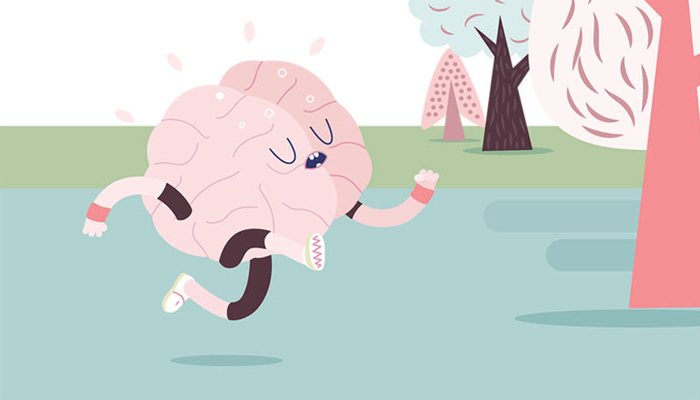 neuroplasticity and exercise